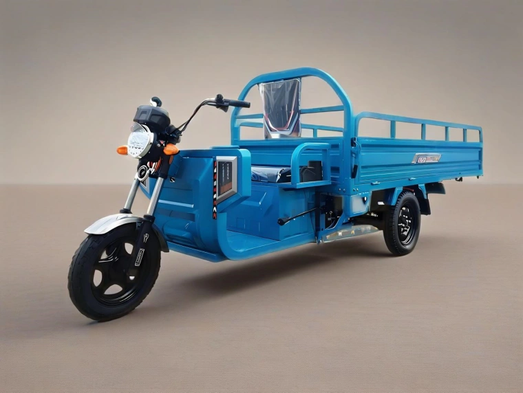 Triciclo elettrico Sinoswift
