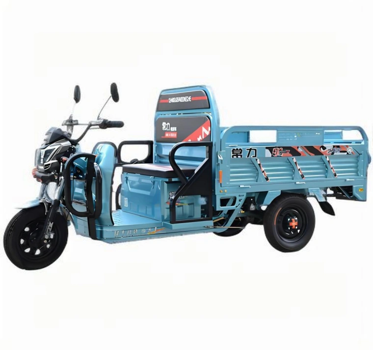Triciclo elétrico Sinoswift