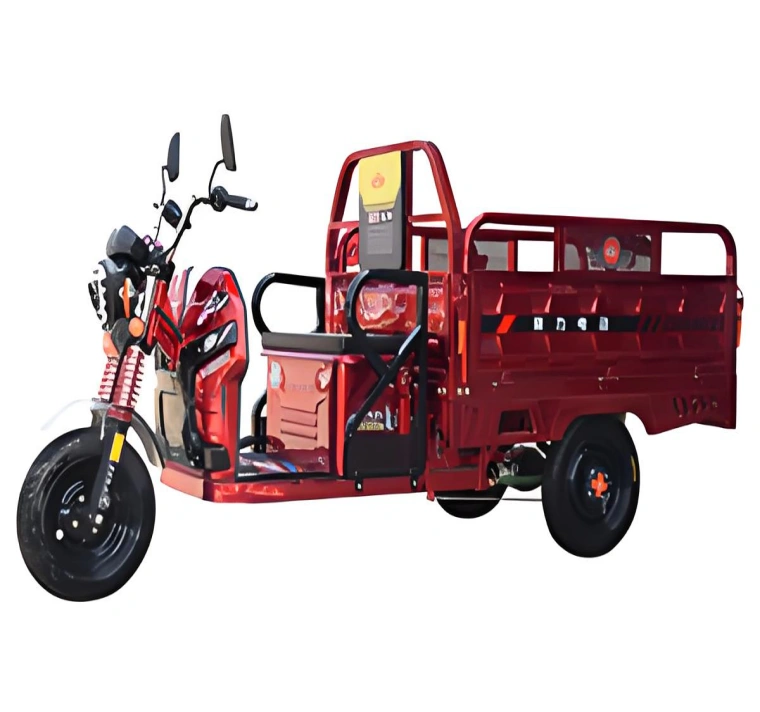 Triciclo elettrico Sinoswift