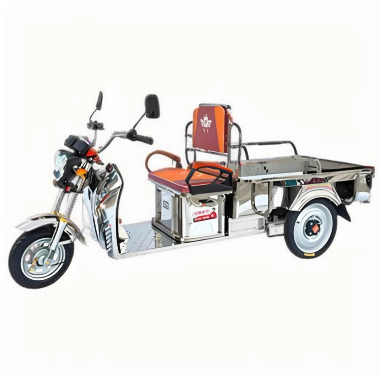 Triciclo elettrico Sinoswift